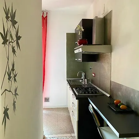 Zerbini Bologna