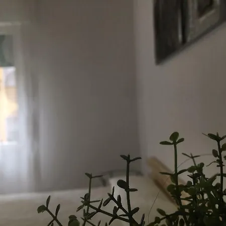 Zerbini Bed & Breakfast Bologna